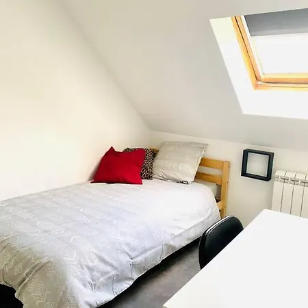 Shared Cosy Living - Downtown